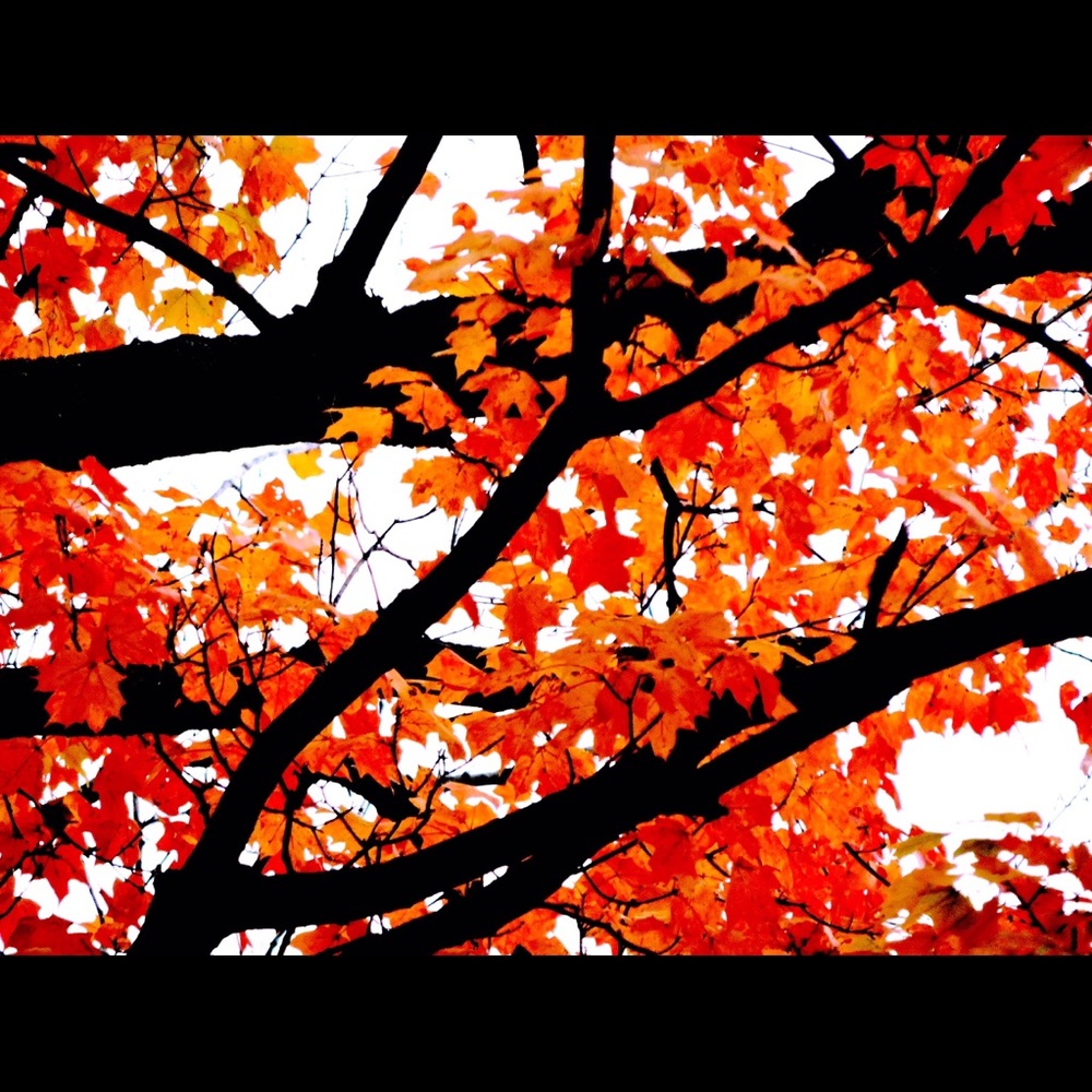 Meet your Posher, Kailey